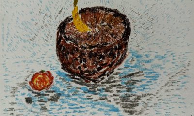 IMG_1524-